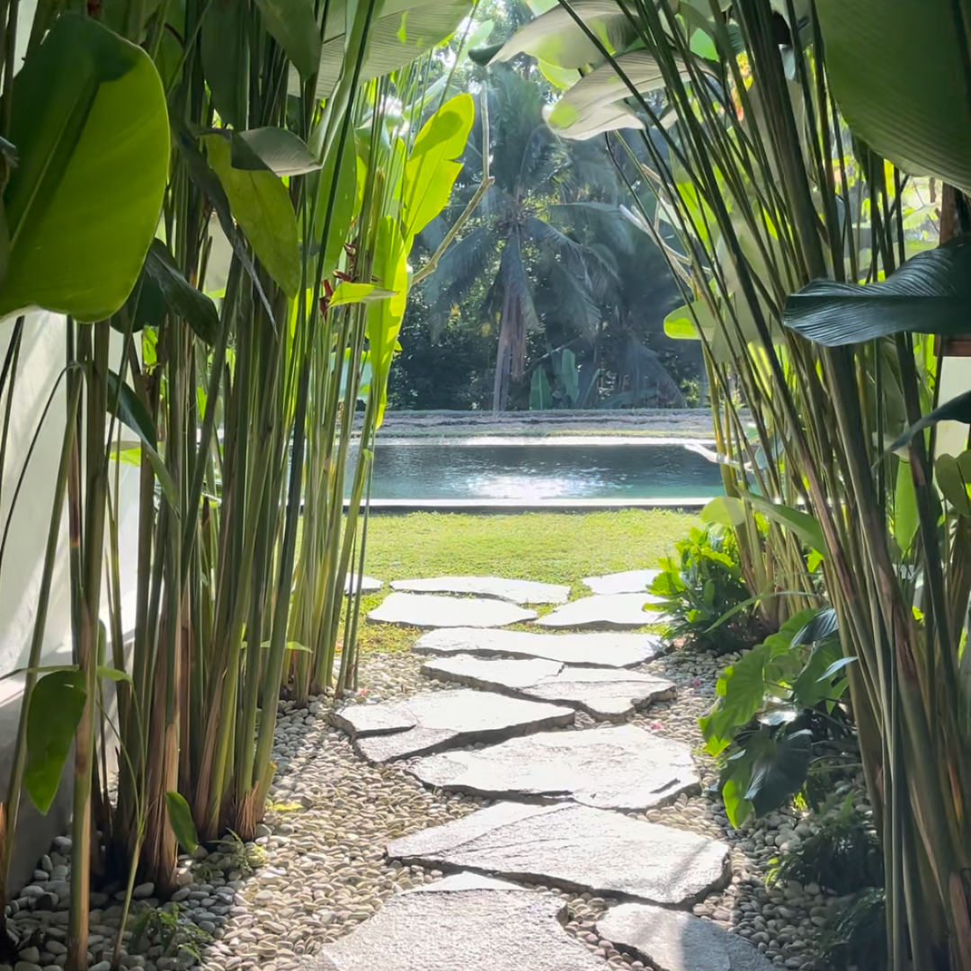 Elevate Your Poolside with Lush Greenery