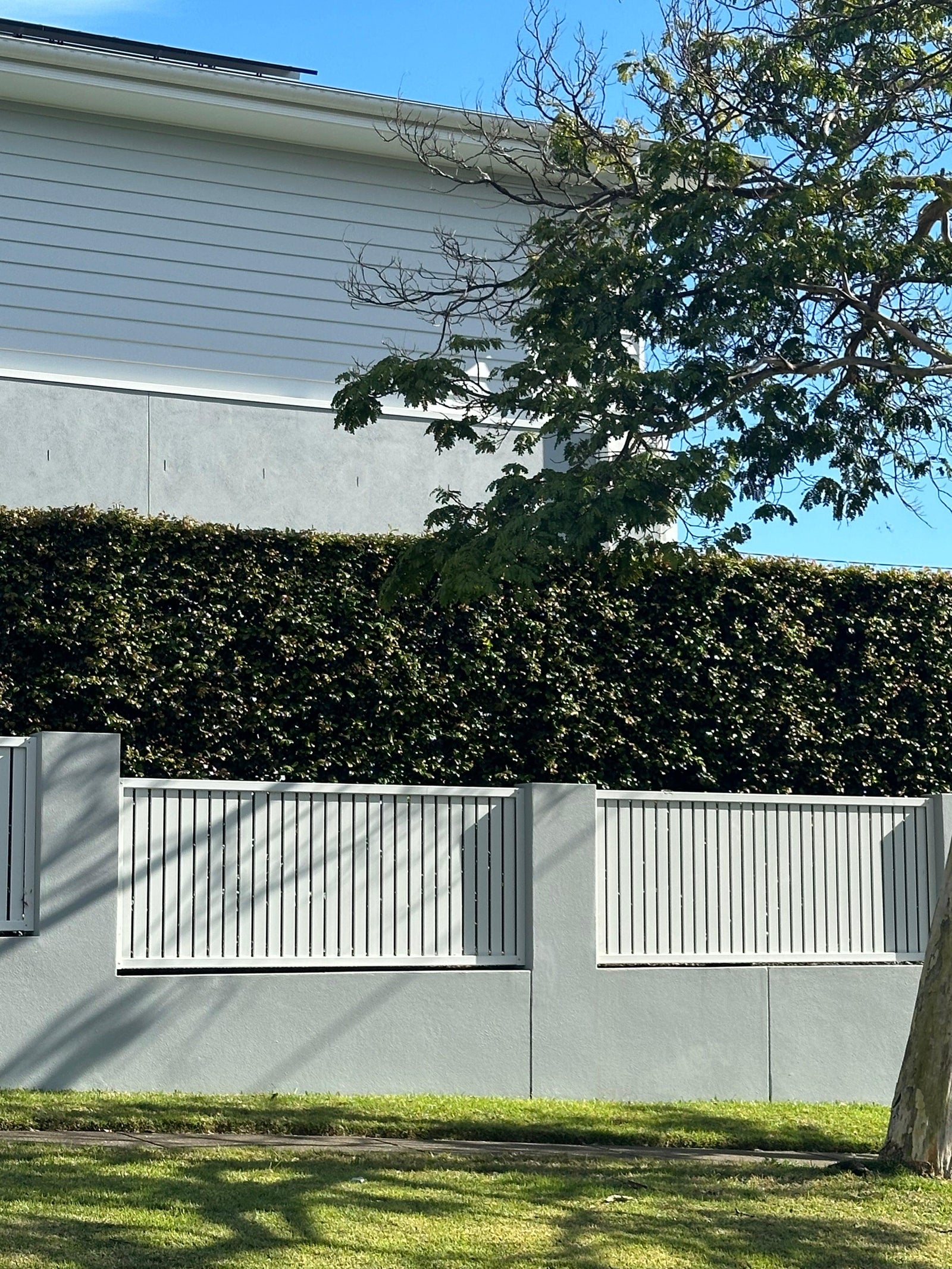 5 Simple Tips for Creating the Perfect Uniform Hedge - Brisbane Plant Nursery