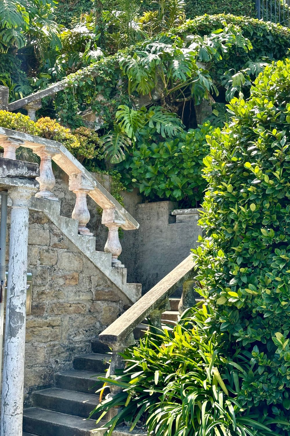 Transform Your Outdoor Staircase with Stunning Plants