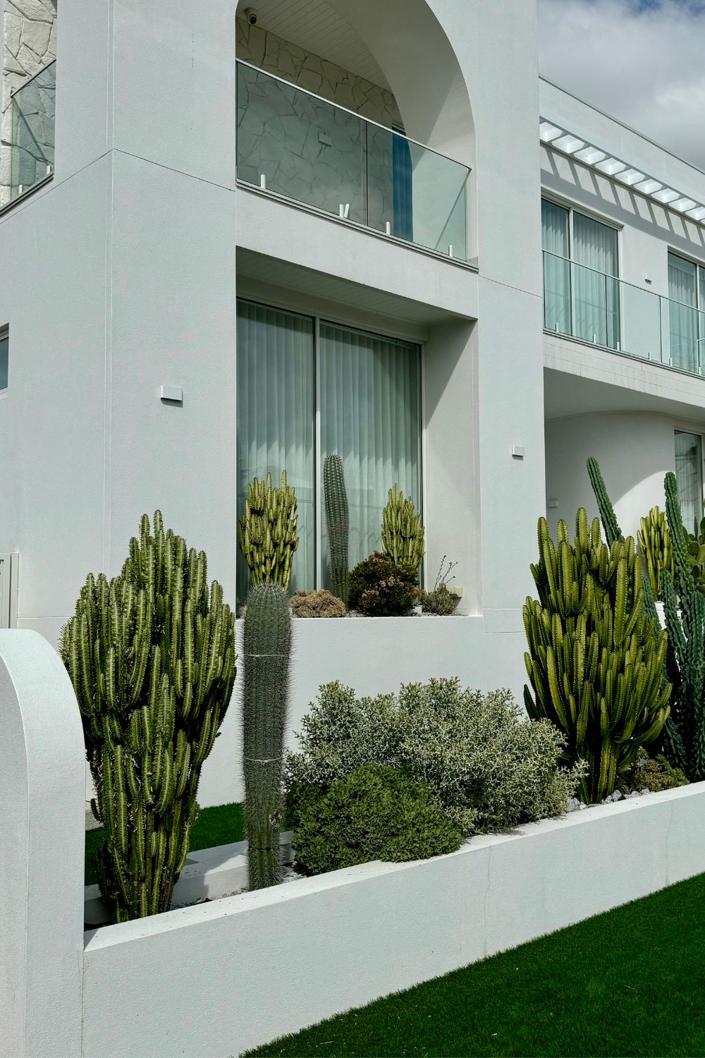 Low Maintenance Cacti Options for Your Front Facade