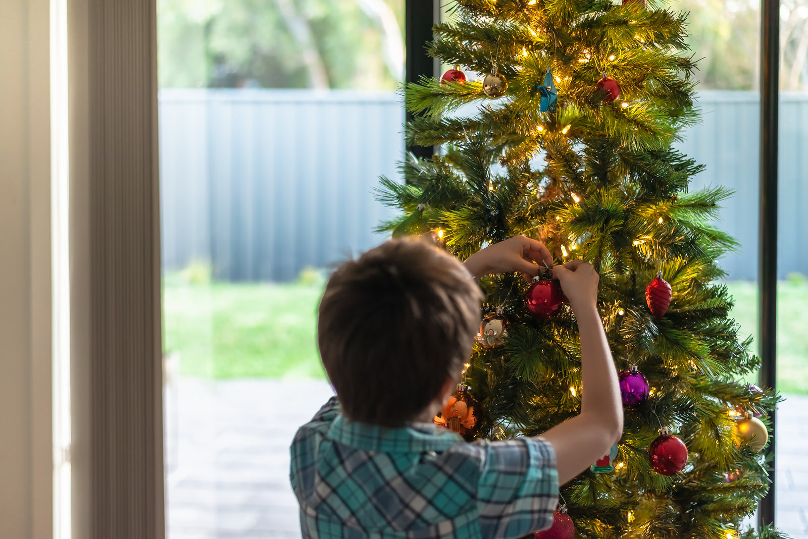 Ultimate Guide to Caring for Your Christmas Tree