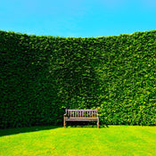 Privacy and Hedges