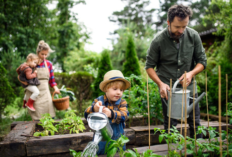 Supplies that help your plants thrive - Brisbane Plant Nursery