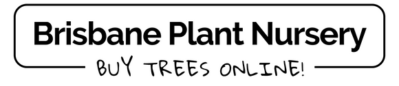 Brisbane Plant Nursery